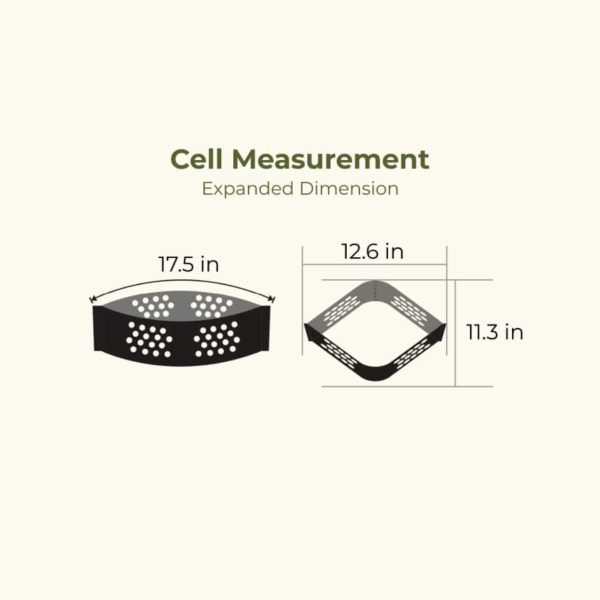 BaseCore Cell Measurement 2
