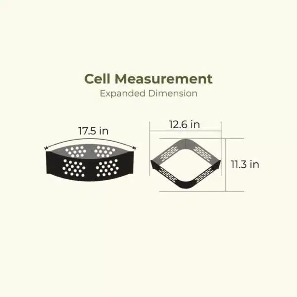 cell measurement