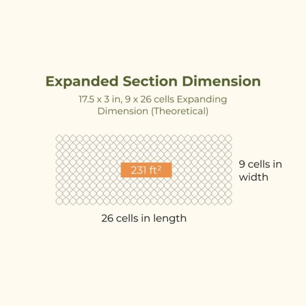 BaseCore Expanded Section Dimension 2