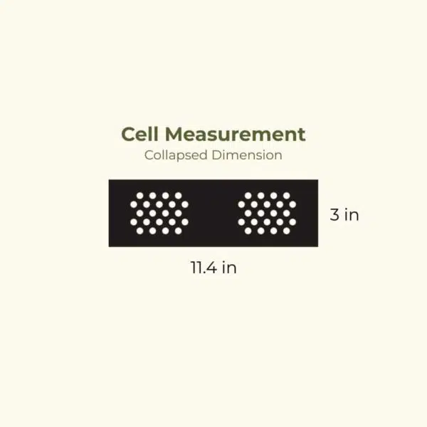 Cell Measurement Dimension