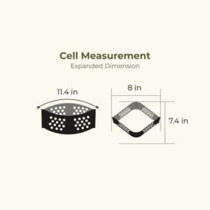 Cell Measurement Dimension