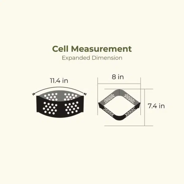 Cell Measurement Dimension