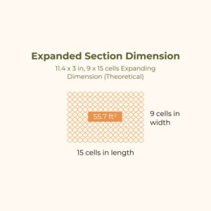 HD-Expanded-Section-Dimension-2