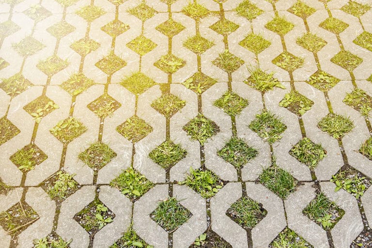 Grass Pavers as a Parking Pad Solution Backyard Bases