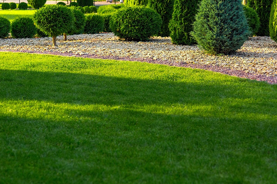 diy garden edging