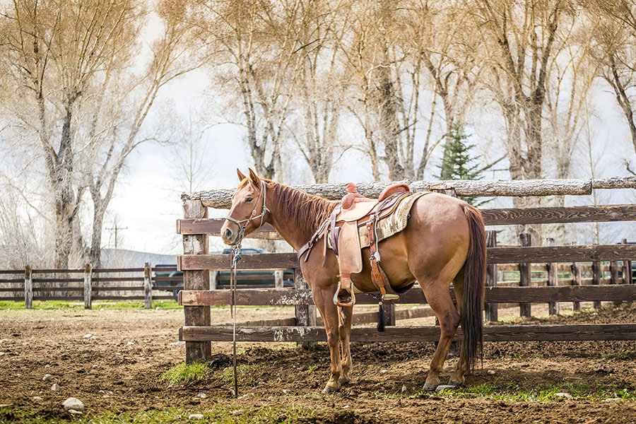 farm mud management