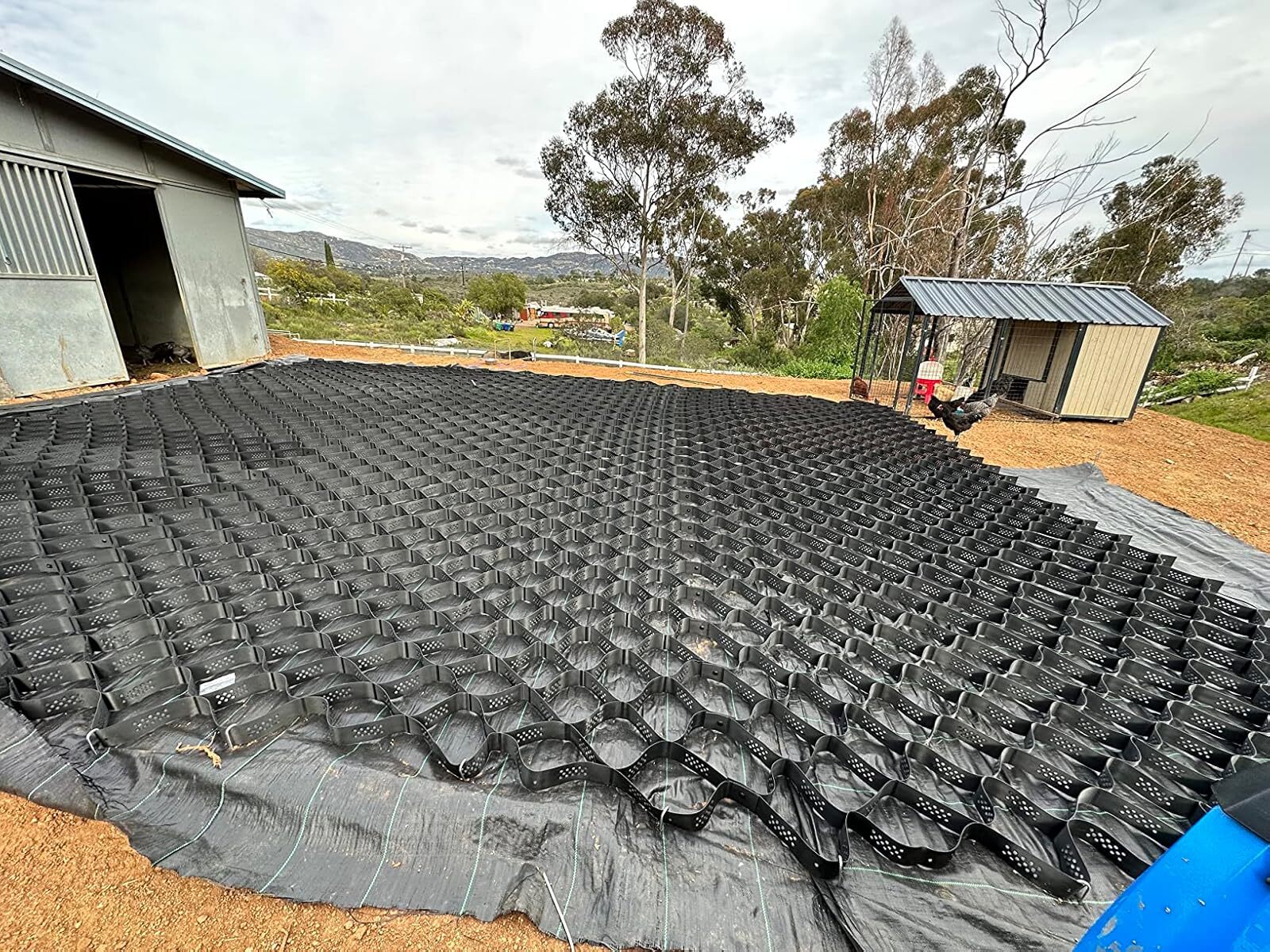 Geogrid driveway