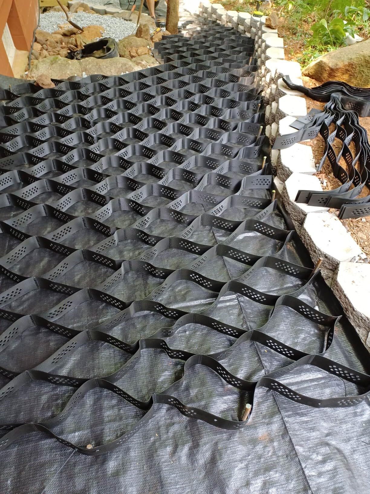 Geogrid driveway
