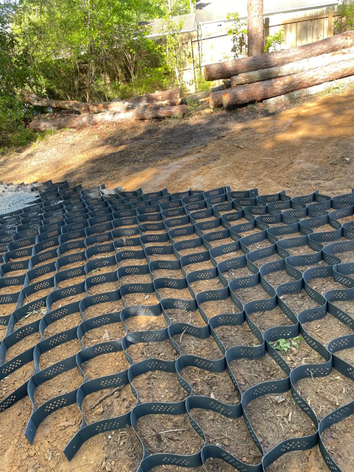 Geogrid driveway