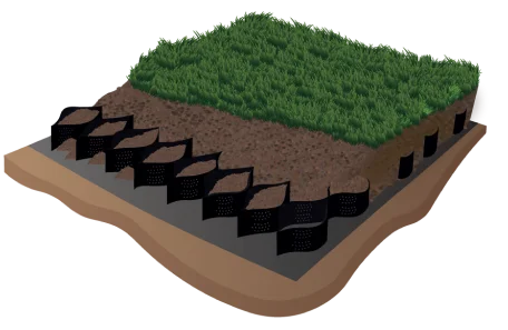 Grass-Finally-y-y-01-1