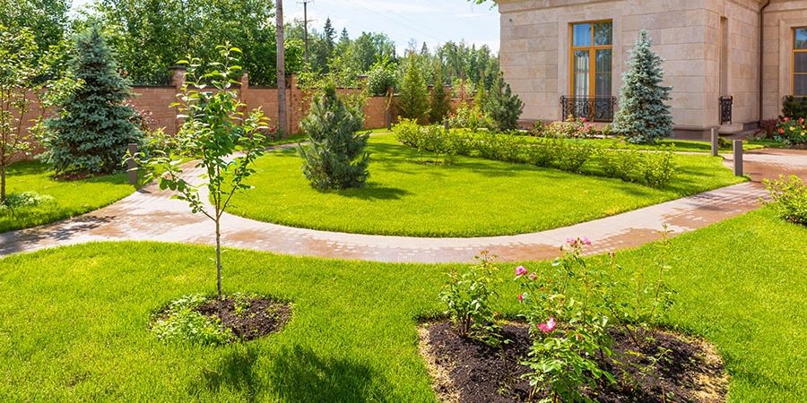 modern landscape edging